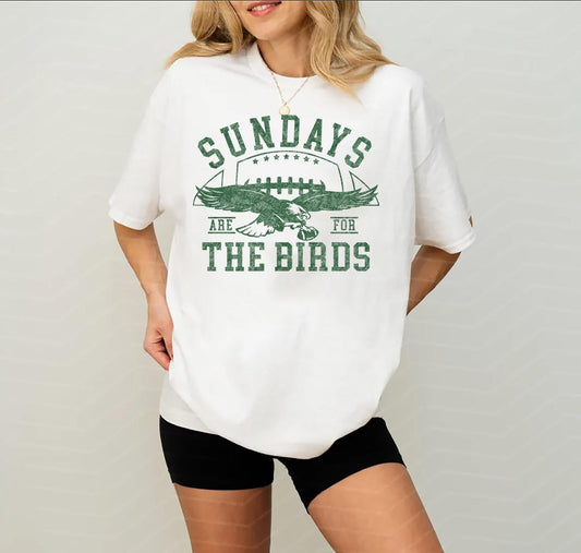 Philadelphia Eagles Sundays Are For The Birds T Shirt, Vintage Football Fan Graphic Tee, Funny Game Day Shirt, Philly Gift Merch Tee Ady Store